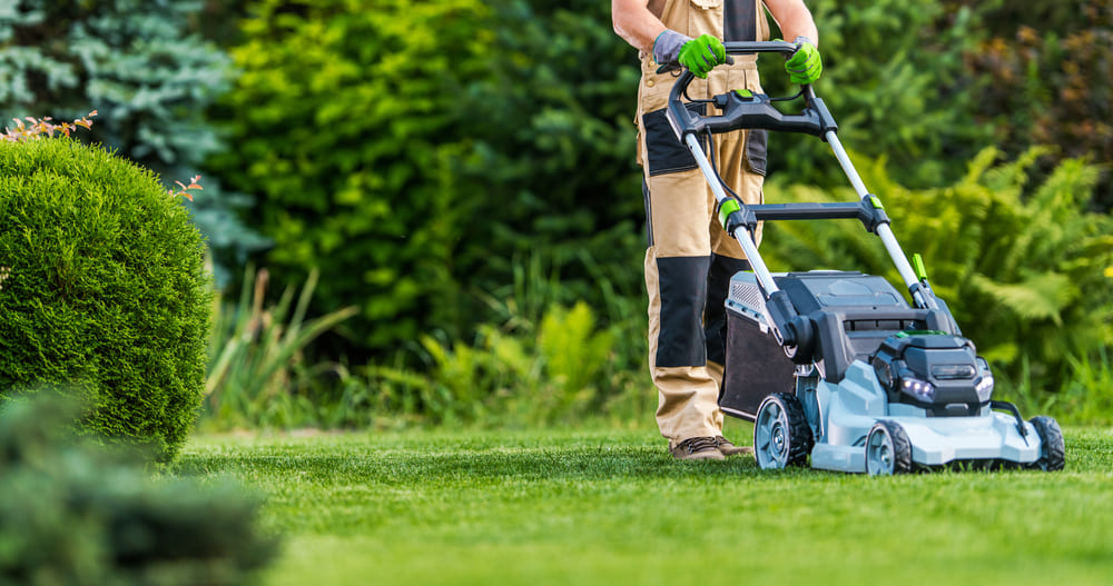 Professional landscaper trimming lawn with mower